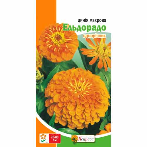 Цинния махровая Эльдорадо лососевая Яскрава артикул фото 1 Цинния махровая Эльдорадо лососевая Яскрава рисунок 1 артикул 90447