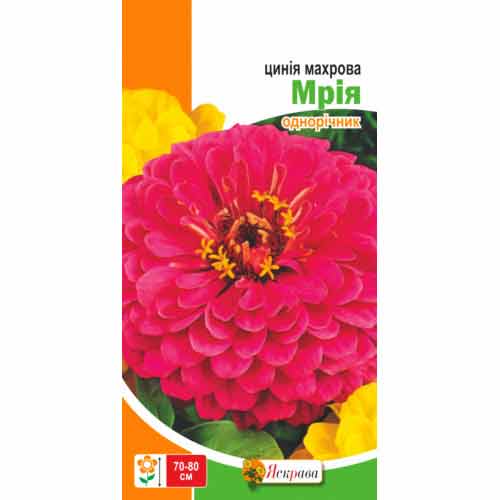 Цинiя махрова Мрія Яскрава зображення 1 артикул 90450