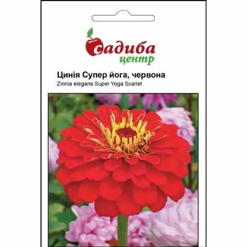 Цинія Супер Йога червона Садиба центр зображення 1 артикул 89814