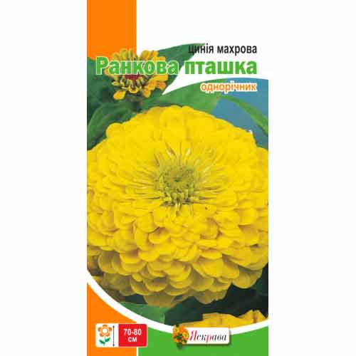 Цинiя махрова Ранкова пташка лимонна Яскрава зображення 1 артикул 77128