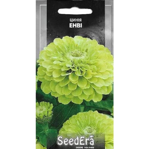 Цинія Енві Seedera зображення 1 артикул 89998
