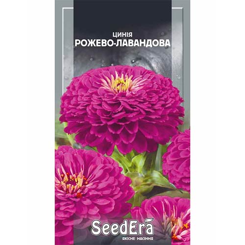 Цинія рожево-лавандова Seedera зображення 1 артикул 90000