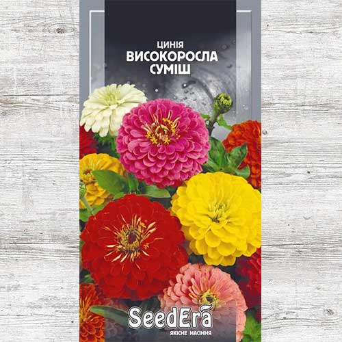 Цинния высокорослая, смесь окрасок артикул фото 1 Цинния высокорослая, смесь окрасок рисунок 1 артикул 90001