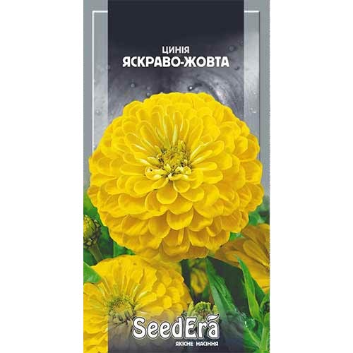 Цинния ярко-желтая Seedera рисунок 1 артикул 90002