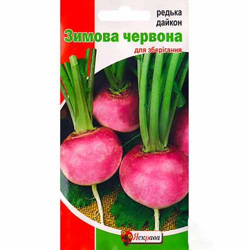 Дайкон (редька) кругла Червона Зимова Яскрава зображення 1 артикул 72144