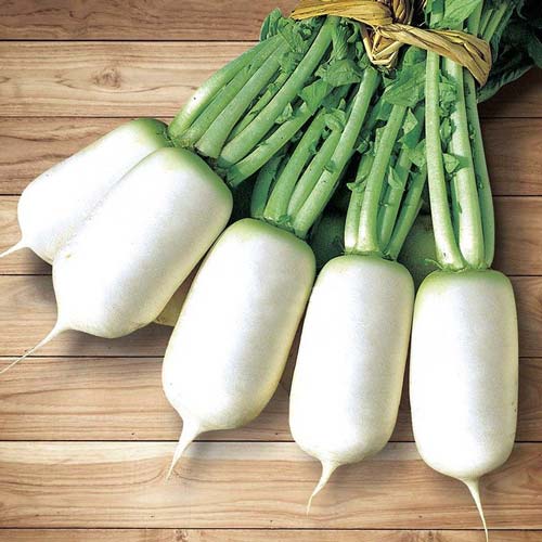 Дайкон Спринг Фейвор F1 рисунок 1 артикул 72510