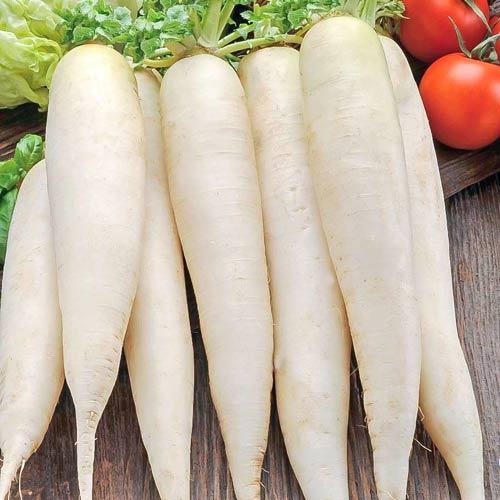 Дайкон Японский всесезонный, семена рисунок 1 артикул 70125
