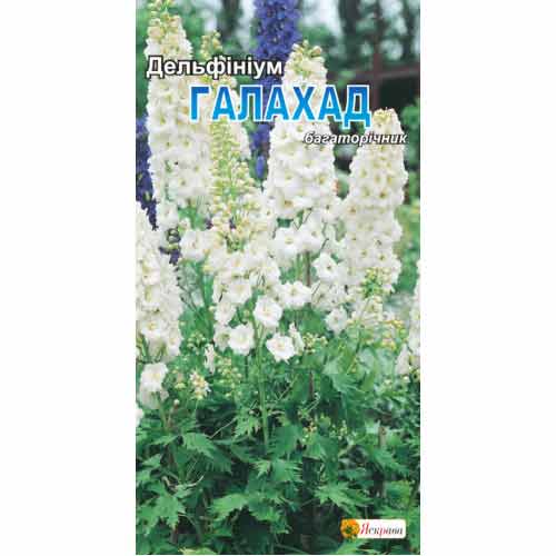 Дельфиниум многолетний Галахад белый Яскрава рисунок 1 артикул 90857