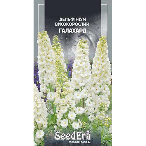 Дельфініум Галахард Seedera зображення 1 артикул 94952