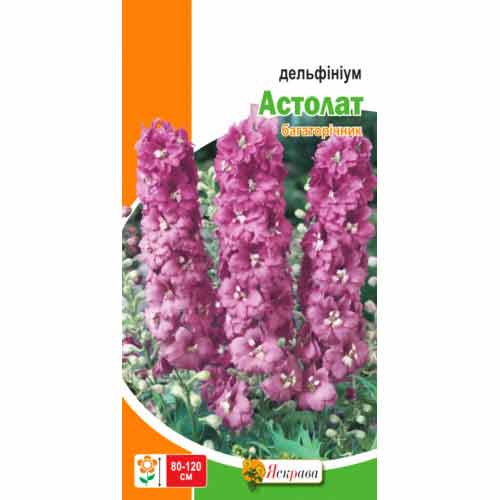 Дельфиниум многолетний Астолат розовый Яскрава рисунок 1 артикул 72997