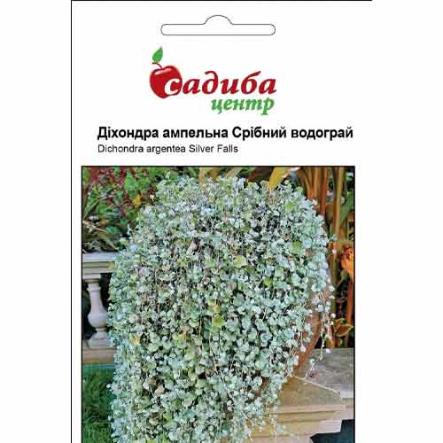 Дихондра Серебрянный водопад Садыба центр рисунок 1 артикул 72752