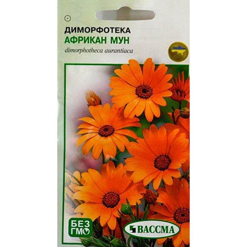 Диморфотека Африкан Мун Seedera рисунок 1 артикул 66403