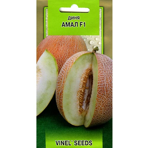 Диня Амал Vinel seeds зображення 1 артикул 95528