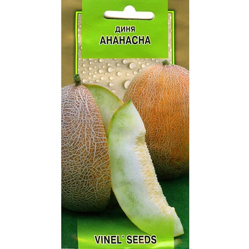 Диня Ананасна Vinel seeds зображення 1 артикул 95529