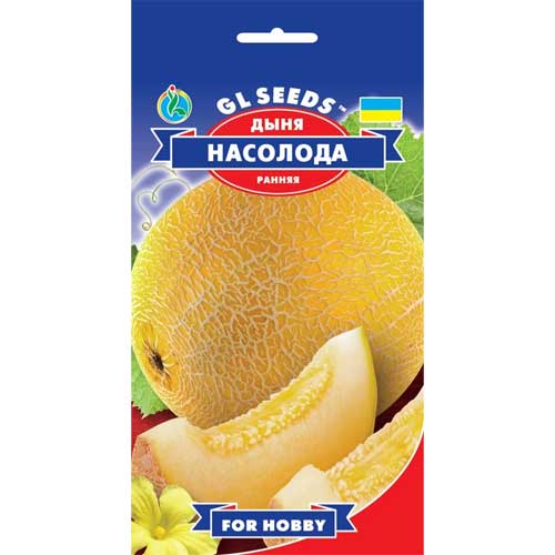Дыня Наслаждение GL Seeds артикул фото 1 Дыня Наслаждение GL Seeds рисунок 1 артикул 85638