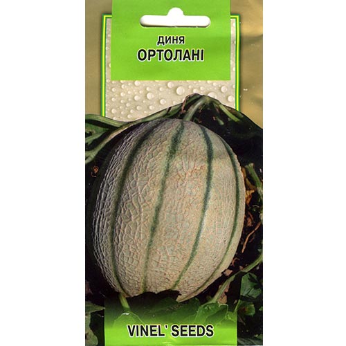 Диня Ортолані Vinel seeds зображення 1 артикул 95537