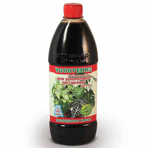 Добриво Чарівна суміш для декоративно-листяних зображення 1 артикул 95996