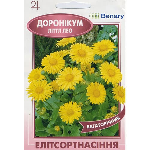 Дороникум Литтл Лео Элитсорт рисунок 1 артикул 90847