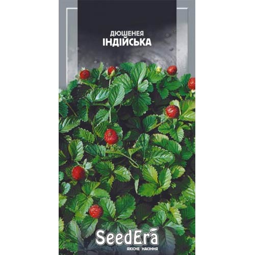 Дюшенея индийская Seedera артикул фото 1 Дюшенея индийская Seedera рисунок 1 артикул 66404