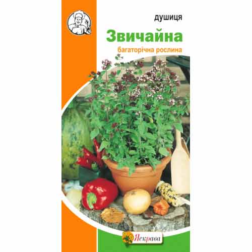 Душица обыкновенная рисунок 1 артикул 72167