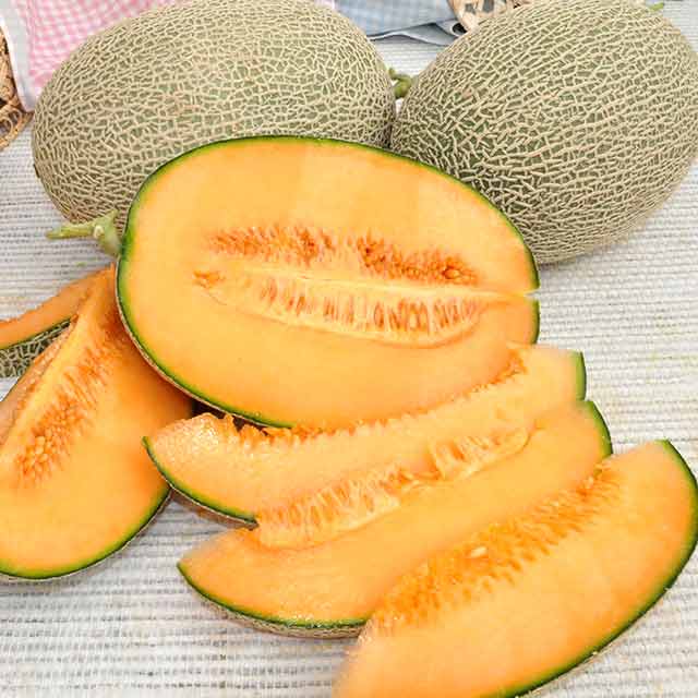 Диня Бариня F1, насіння зображення 1 артикул 65329