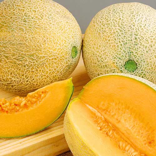 Диня Голді F1 зображення 1 артикул 72156