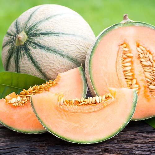 Диня Канталупа Seedera зображення 1 артикул 65533
