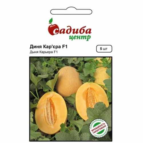 Диня Кар'єра F1 Садиба центр зображення 1 артикул 89196