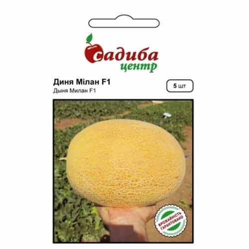 Дыня Милан F1 Садыба центр рисунок 1 артикул 89199