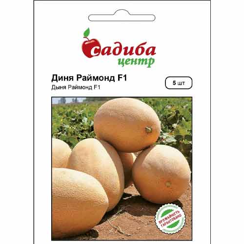 Дыня Раймонд F1 Садыба центр рисунок 1 артикул 72795