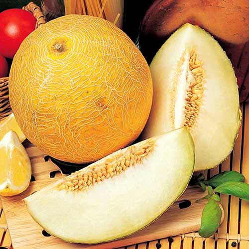 Диня Солодке диво зображення 1 артикул 65206