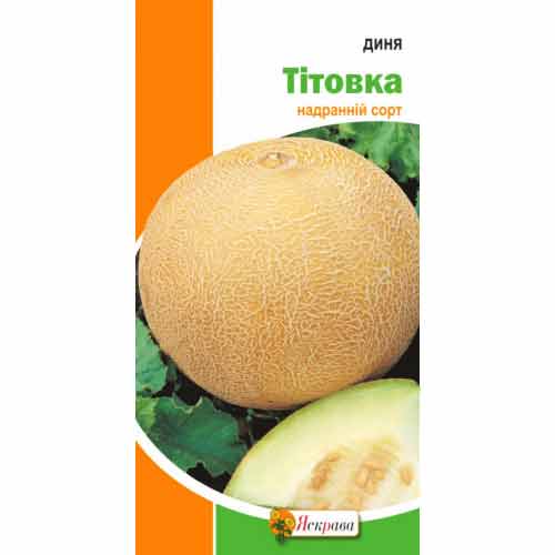 Дыня Титовка Яскрава рисунок 1 артикул 72161