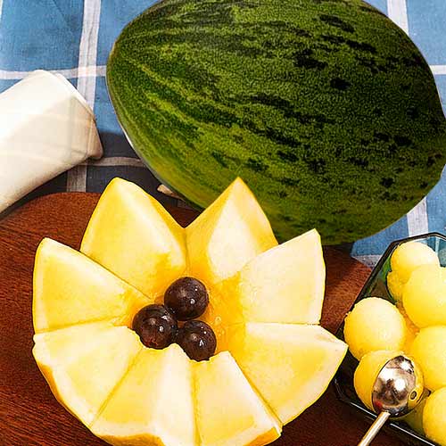 Диня Валенсія Seedera зображення 1 артикул 65532