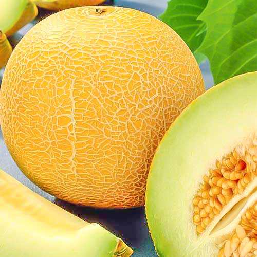 Диня Золотиста, насіння зображення 1 артикул 70126