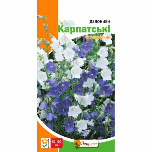 Дзвоник Карпатський багаторiчний Яскрава зображення 1 артикул 99776