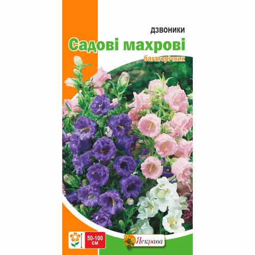 Дзвоник Садовий махровий Яскрава зображення 1 артикул 99777