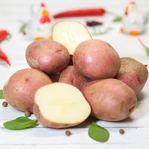 Картопля Каменський зображення 1 артикул 7803