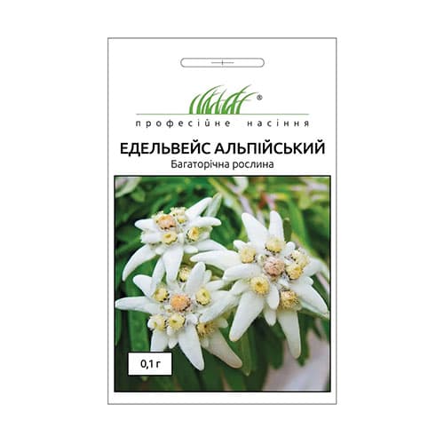 Эдельвейс альпийский Профессиональные семена рисунок 1 артикул 87560