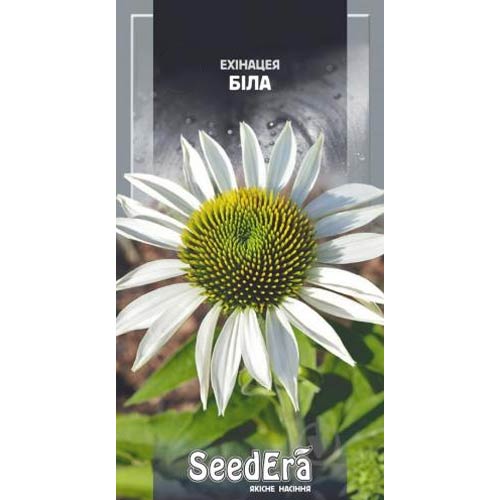 Эхинацея белая Seedera артикул фото 1 Эхинацея белая Seedera рисунок 1 артикул 77005