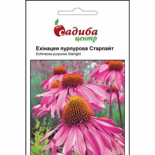 Эхинацея Старлайт Садыба центр рисунок 1 артикул 72760