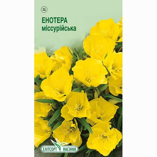 Энотера Миссурийская желтая Элитсорт рисунок 1 артикул 95103