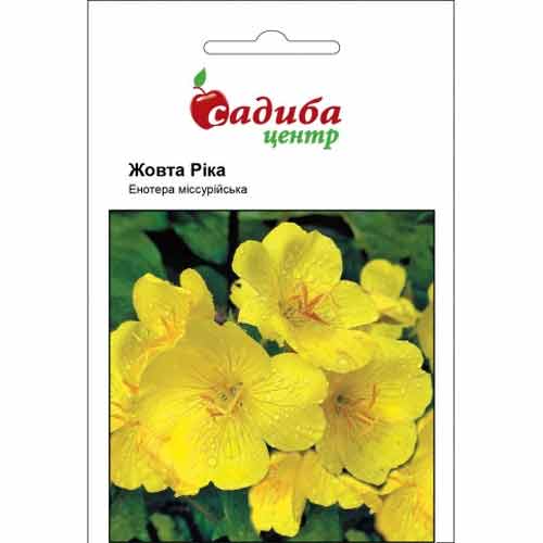 Енотера Міссурійська жовта Ріка Садиба центр зображення 1 артикул 87630