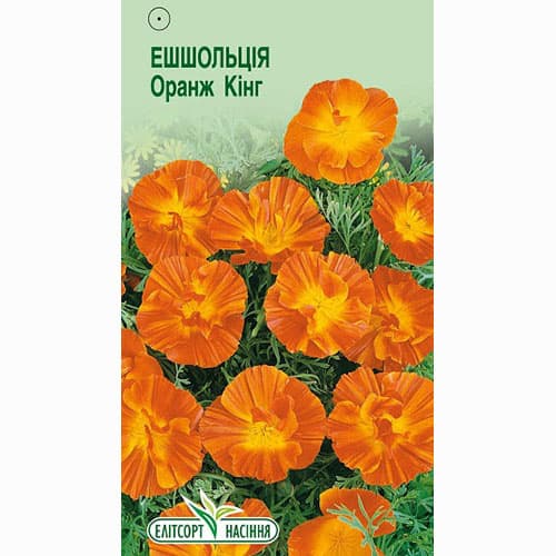 Ешольція Оранж Кінг Елітсорт зображення 1 артикул 95108