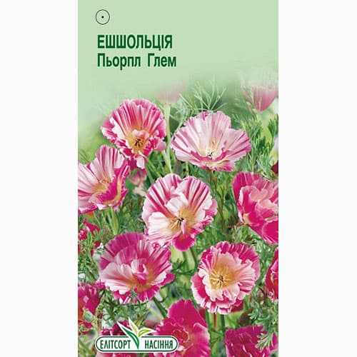 Ешольція Пьорпл Глем Елітсорт зображення 1 артикул 95109