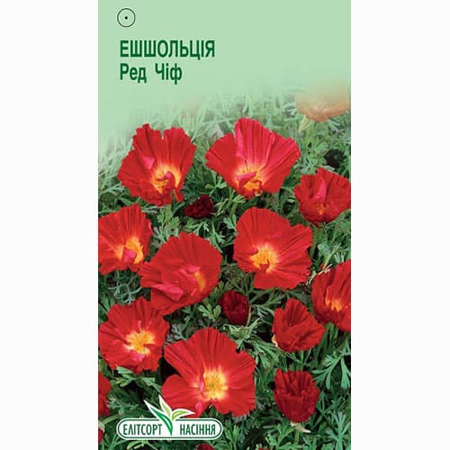 Ешольція Ред Чіф Елітсорт зображення 1 артикул 95110