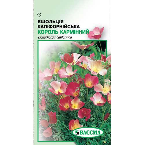 Эшшольция Король карминный Seedera рисунок 1 артикул 89936