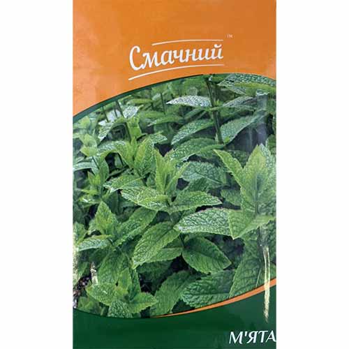 М'ята Професійне насіння зображення 1 артикул 87599