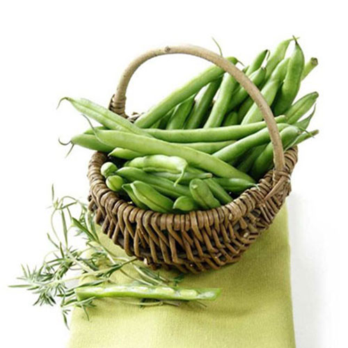 Фасоль спаржевая Карнелино рисунок 1 артикул 77223