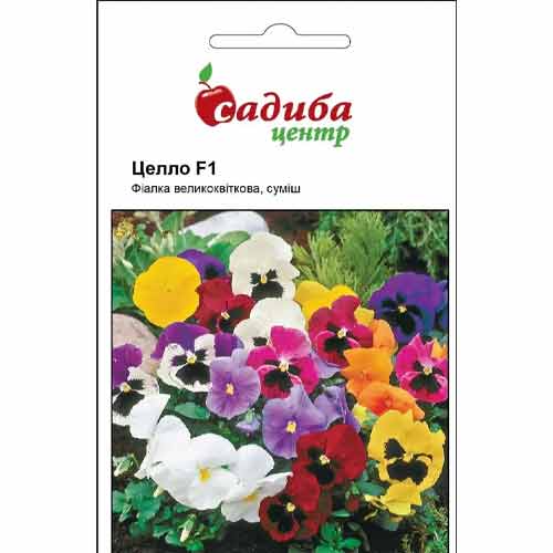 Фіалка Целло F1, суміш забарвлень Садиба центр артикул фото 1 Фіалка Целло F1, суміш забарвлень Садиба центр зображення 1 артикул 89786