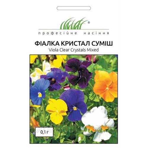 Фіалка Кристал, суміш забарвлень Професійне насіння зображення 1 артикул 72625